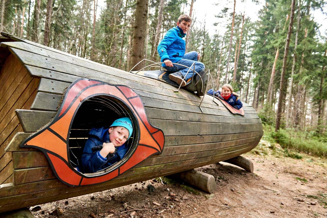 Ferienhaus Winterbergblick, Saechsische Schweiz 힌테르헤름스도르프 외부 사진